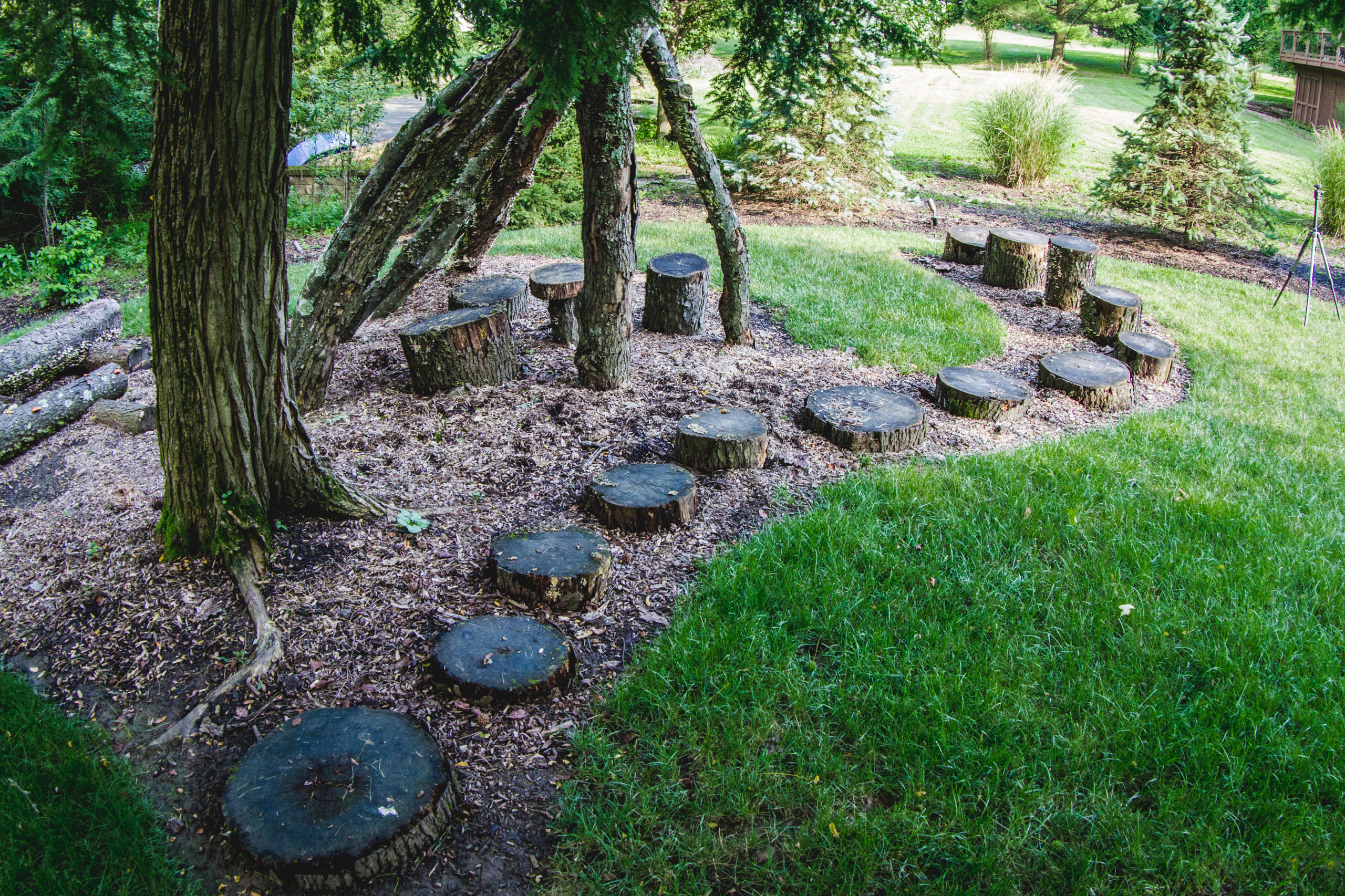 Rustic Backyard Playground