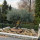 Newconstructiongarden