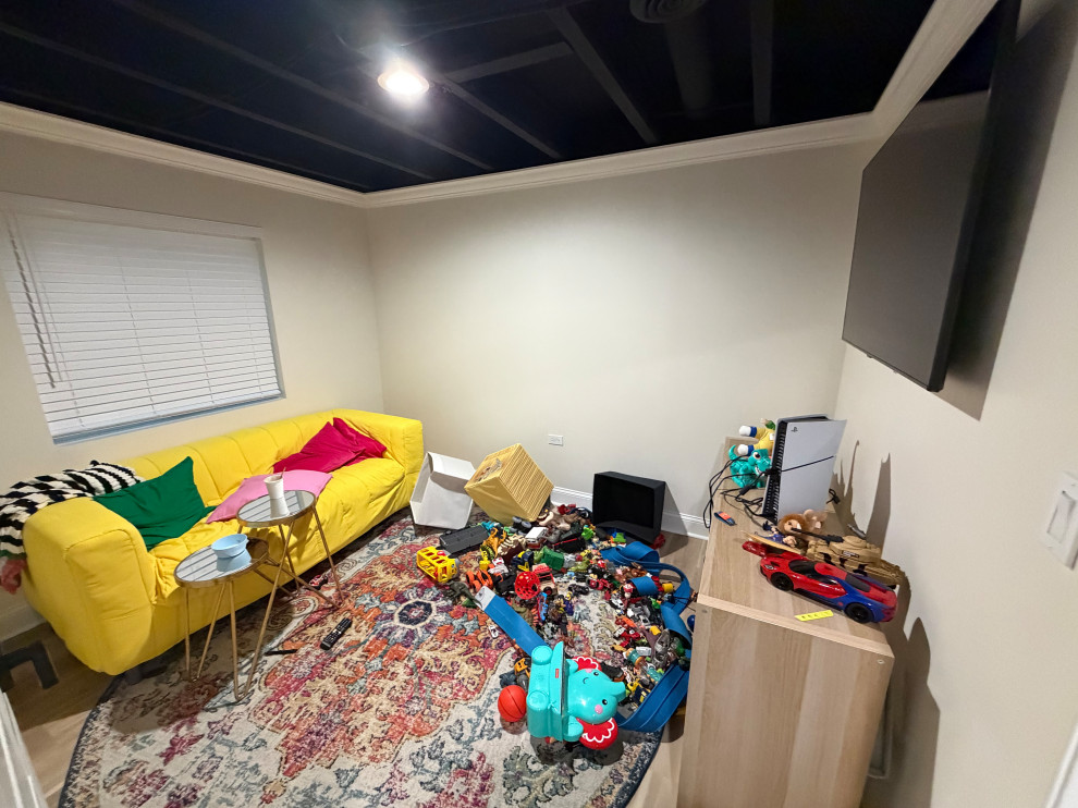 Luxury Basement in Oswego