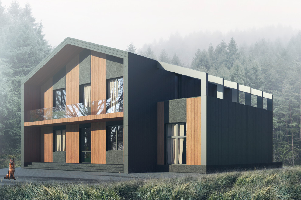 Концепция загородного дома, пример начальной-вариативной стадии проектирования.