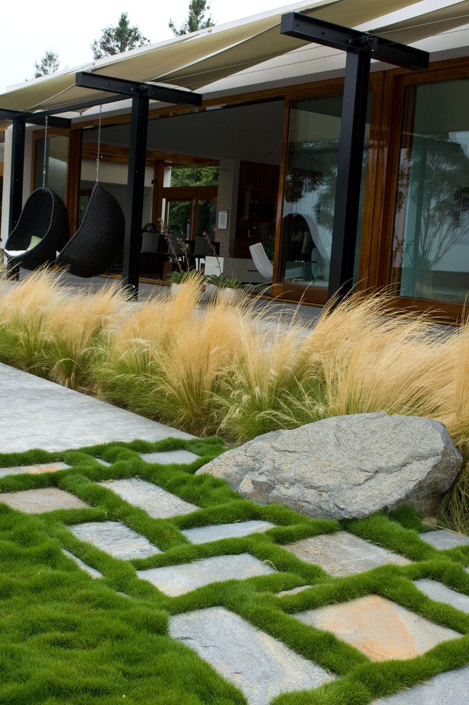 This is an example of a contemporary garden in San Diego with natural stone pavers.