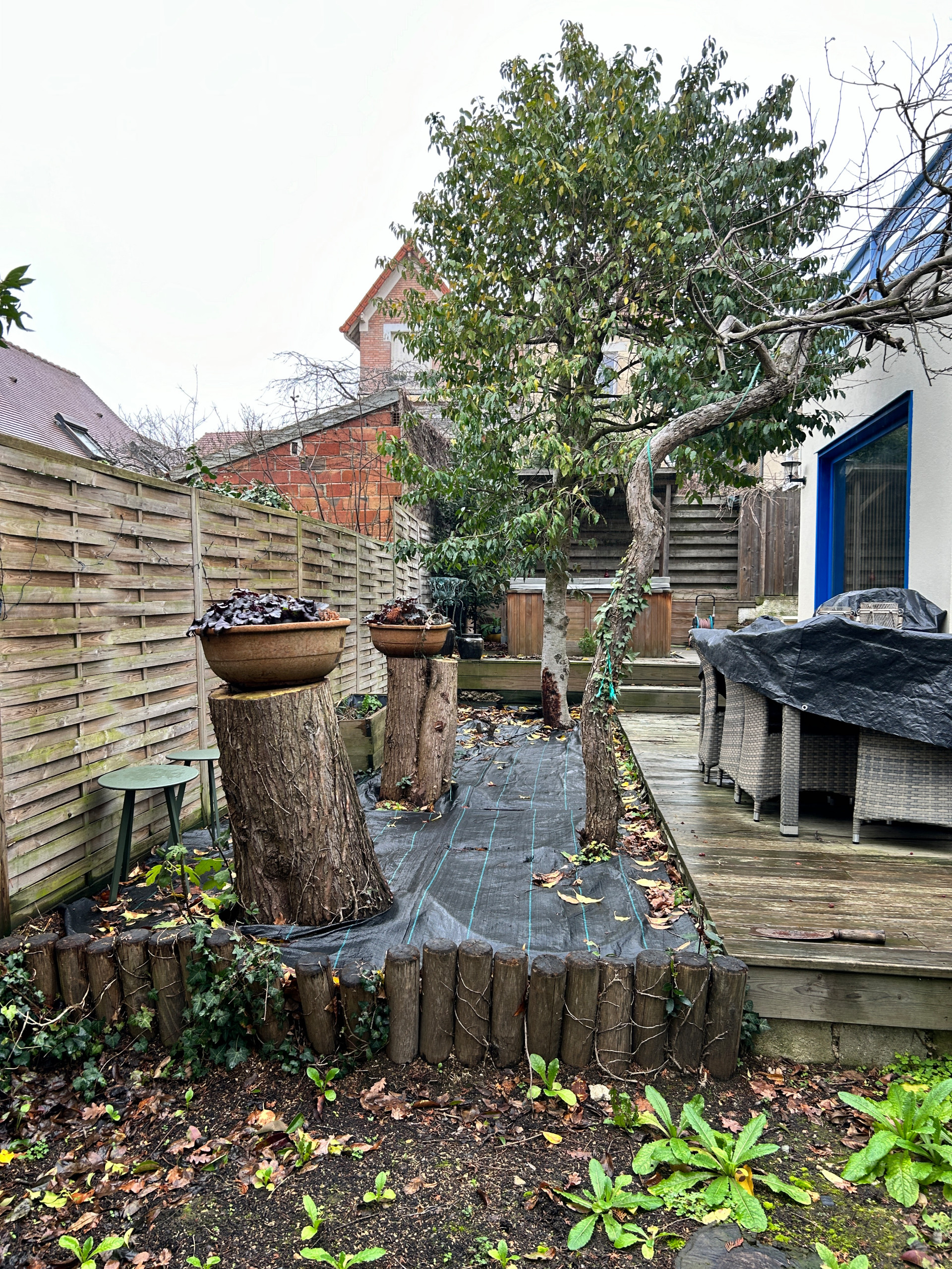 Jardin en Pots : Un Écrin de Nature