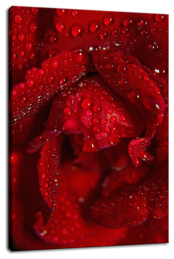 Royal Red Rose Floral Nature Photography Canvas Wall Art Print
