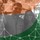 Asootosh Patel's profile image