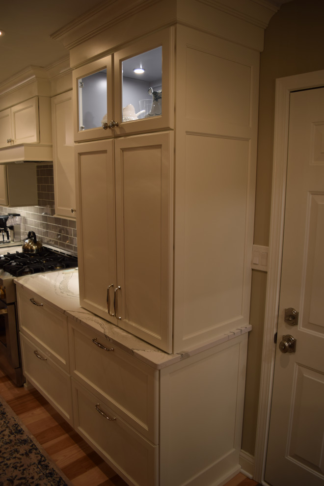 Example of a transitional home design design in Chicago