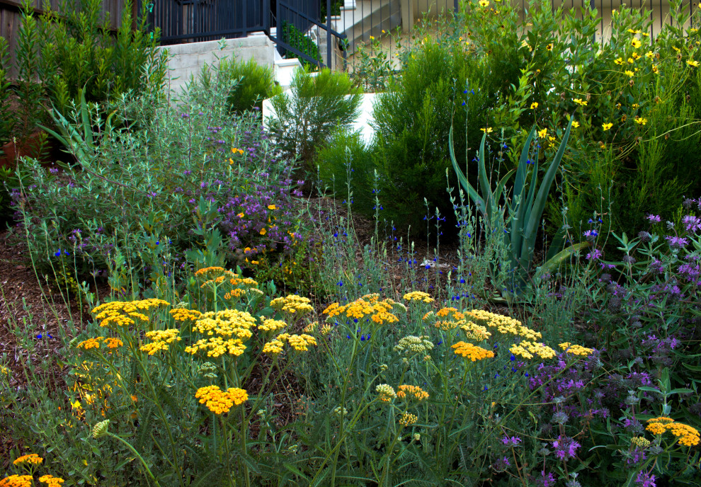 Imagen de jardín de secano urbano de tamaño medio en primavera en patio trasero con exposición total al sol, granito descompuesto, con madera y parterre de flores