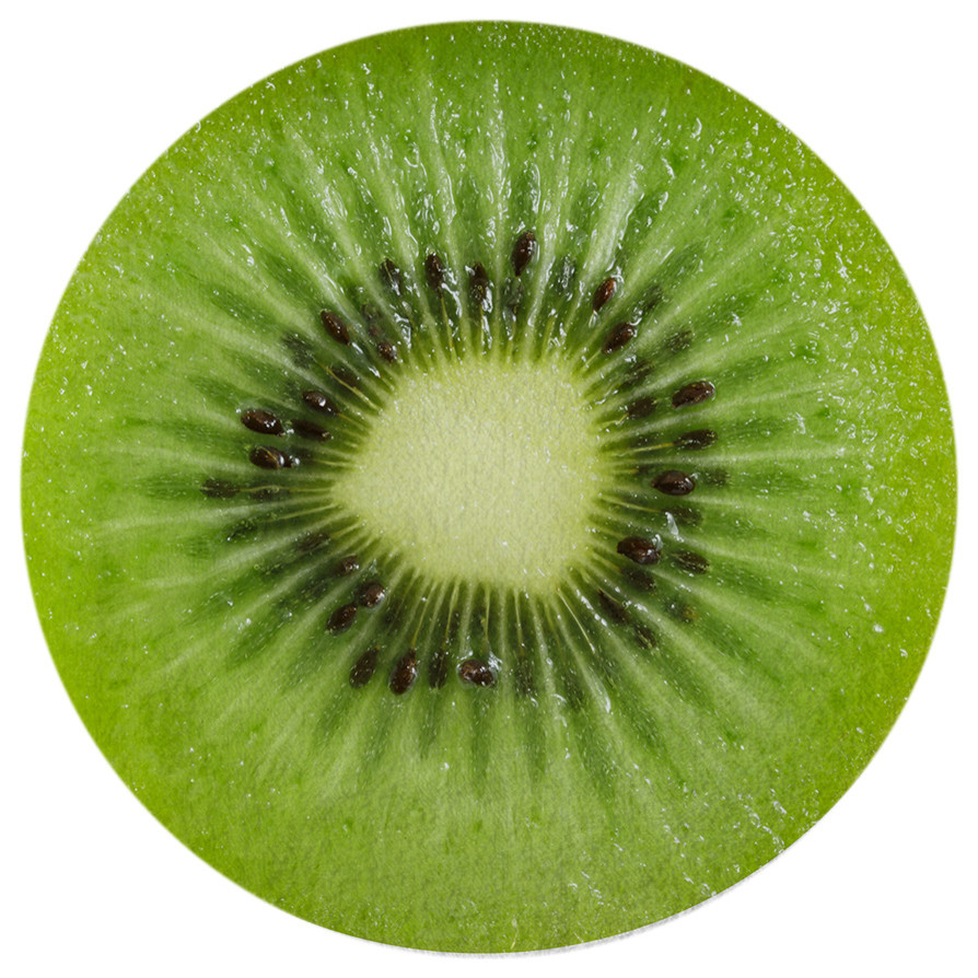 Kiwi Round Beach Towel Contemporary Beach Towels by Round Towel