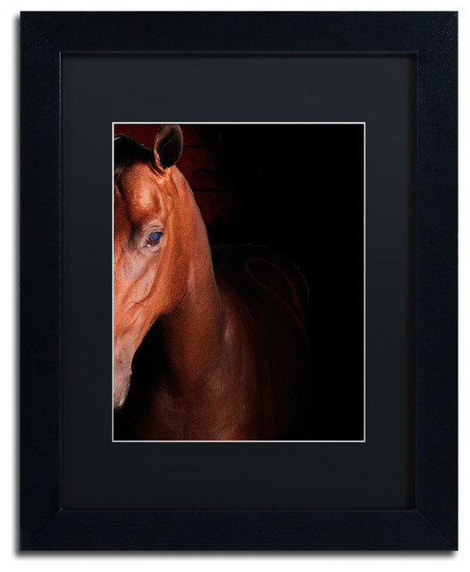 'Kentucky Horse Intense' Matted Framed Canvas Art by Preston