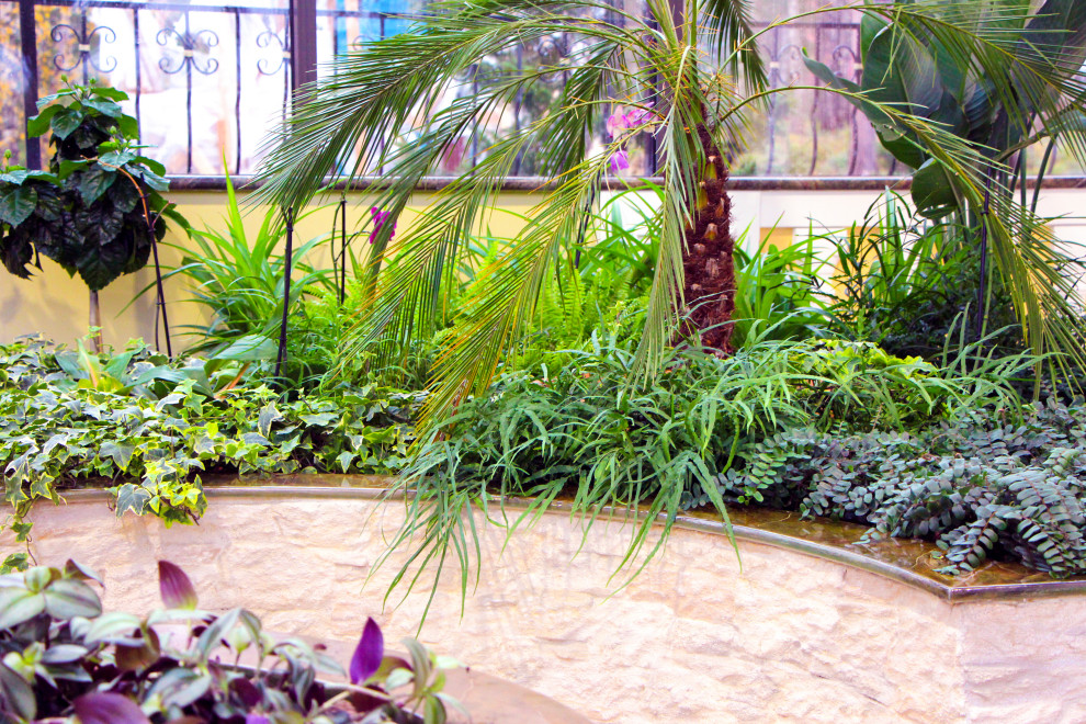 Мурманск, зимний сад