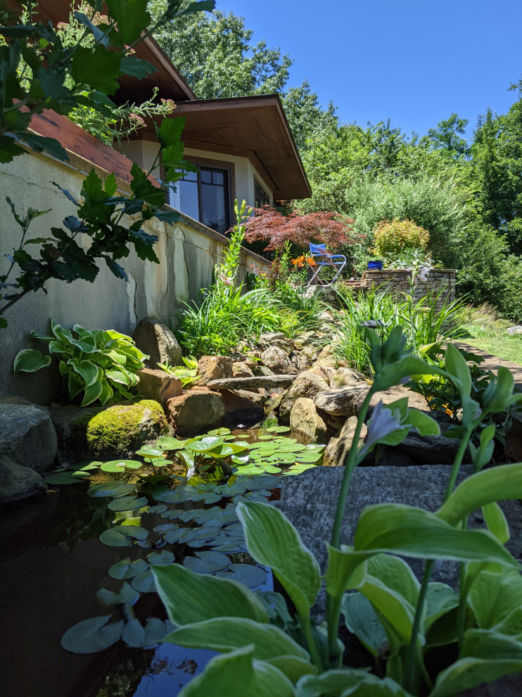 Diseño de jardín de estilo zen de tamaño medio con cascada