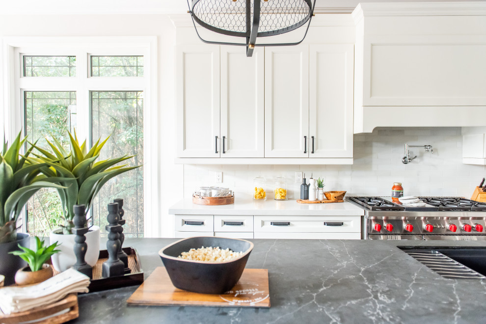 Home design - transitional home design idea in Toronto