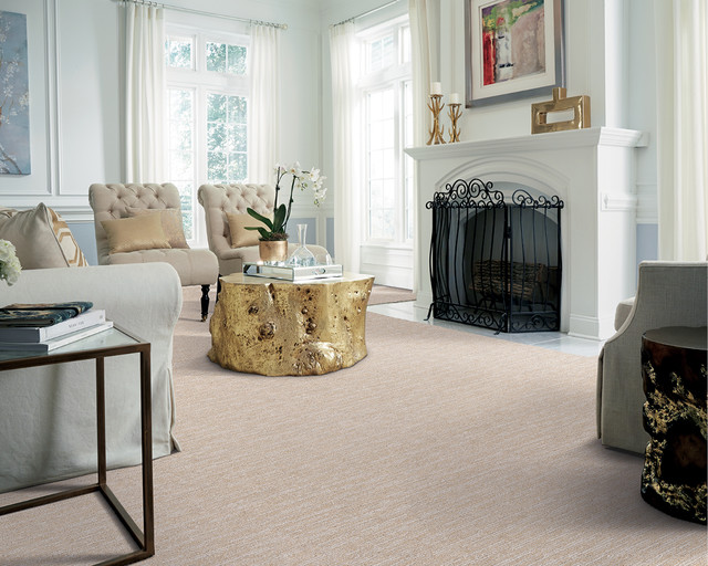 Carpet Rooms transitional-living-room