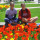 janine_walker78