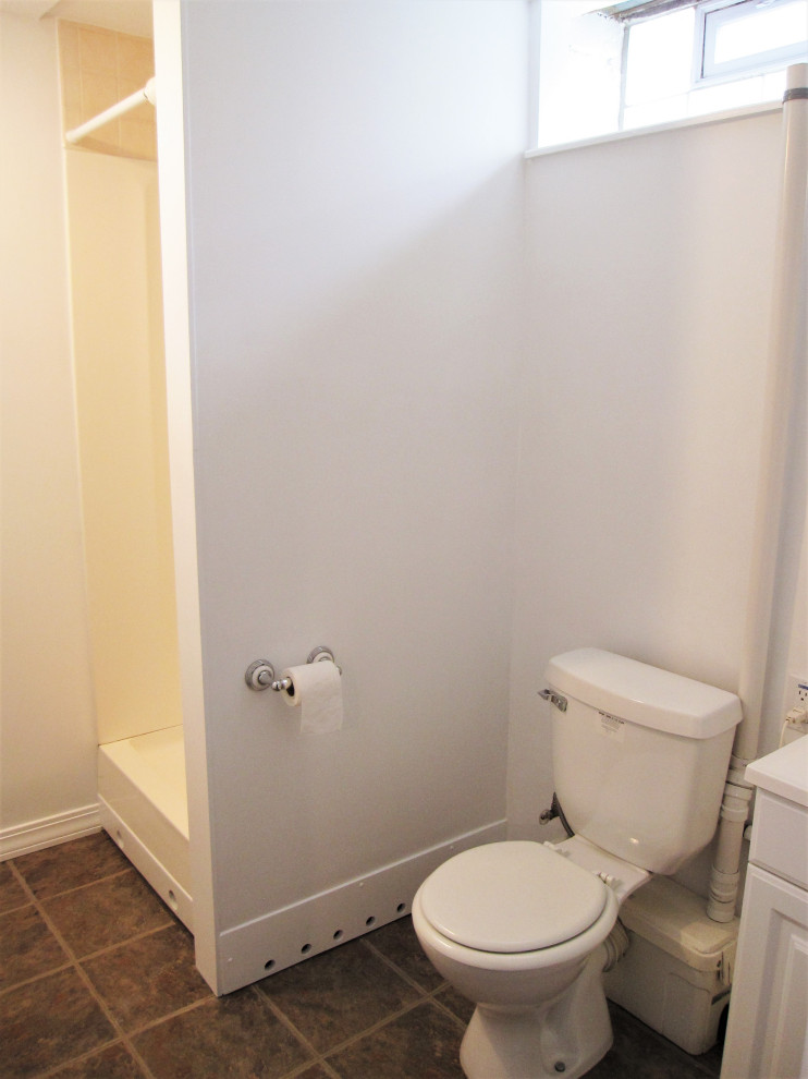 Idéer för ett litet klassiskt badrum, med luckor med infälld panel, vita skåp, en hörndusch, en toalettstol med separat cisternkåpa, vita väggar, laminatgolv, ett undermonterad handfat, flerfärgat golv och dusch med duschdraperi