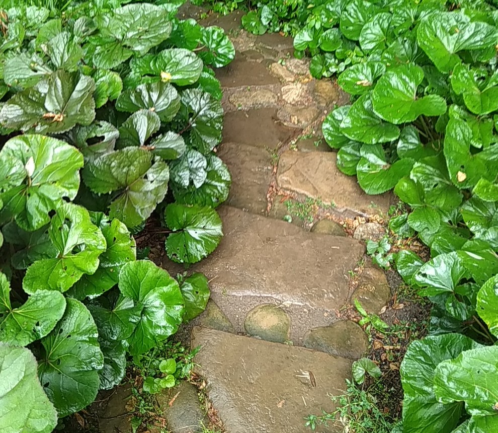 Valley of springs Долина родников