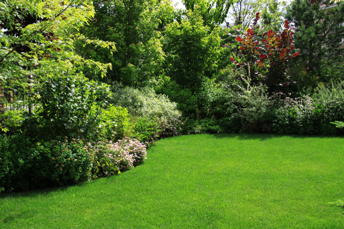 Коттеждный сад. Игры с цветом.