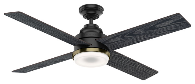 Casablanca 54 Daphne Ceiling Fan With Light Kit Wall Control