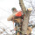 Quinonez Tree Services