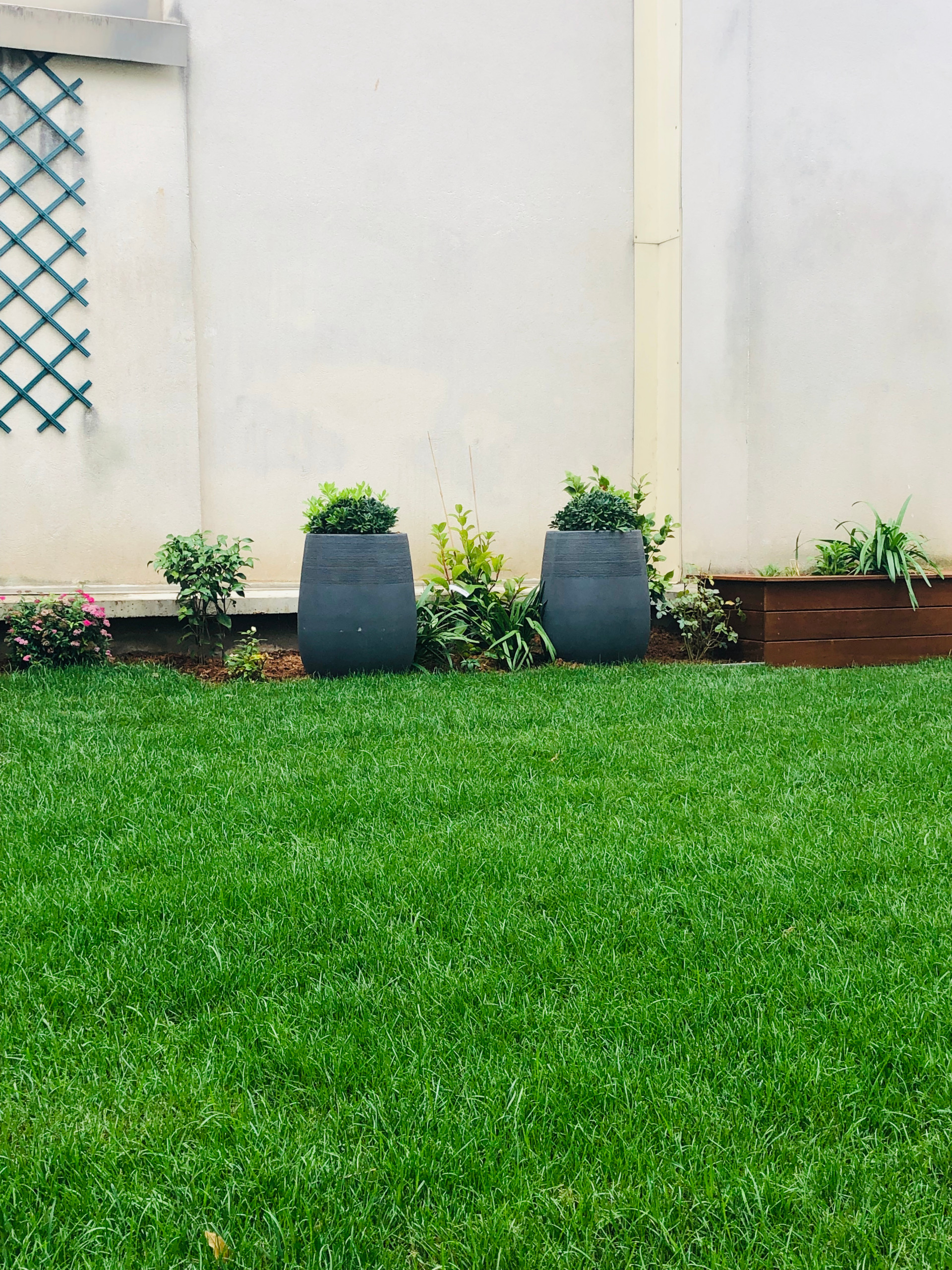 Réaménagement d'un jardin sur dalle