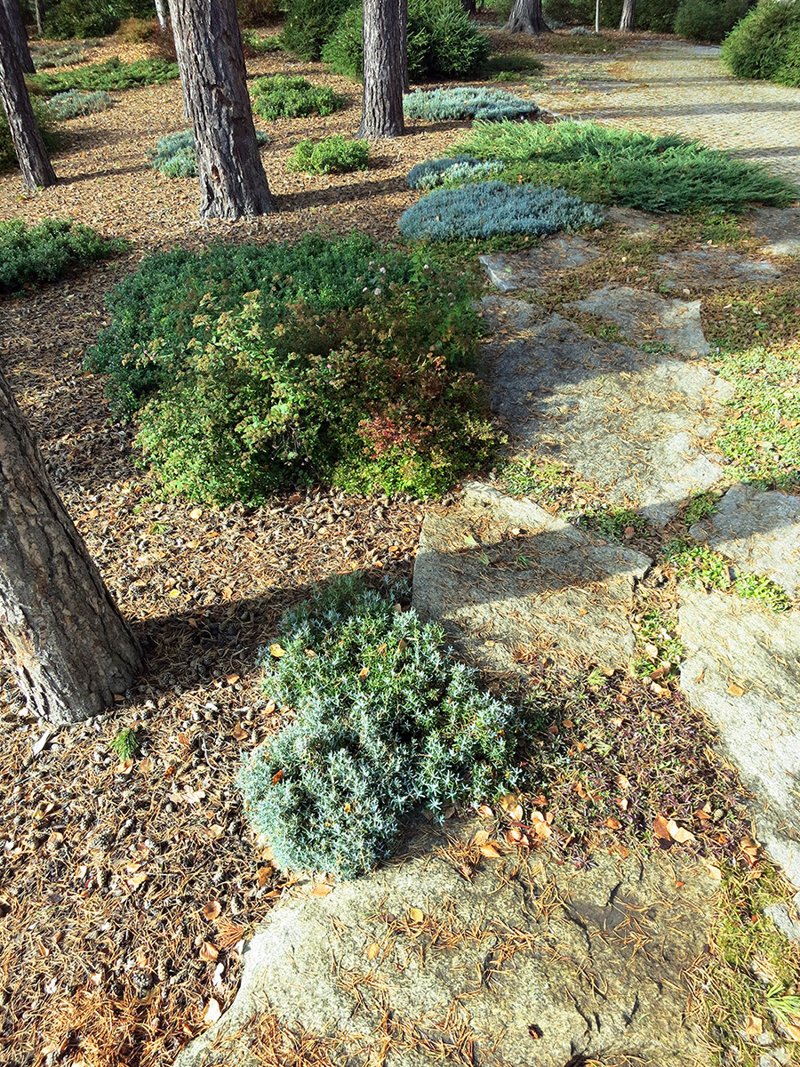 Не нужно бояться темноты