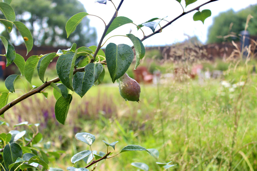 д. Кутузово