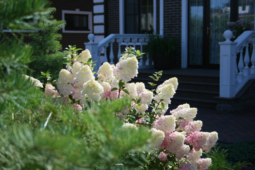 Дизайн участка с уклоном более 7 м.