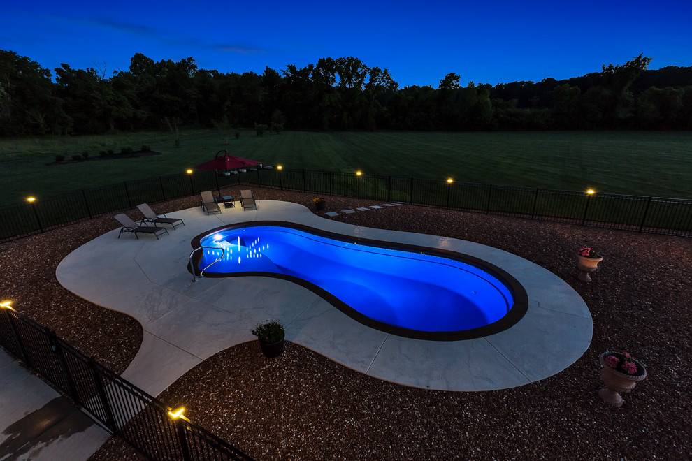 Photo of a mid-sized modern backyard kidney-shaped natural pool in St Louis with concrete slab.