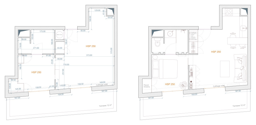 Plan existant et plan projet