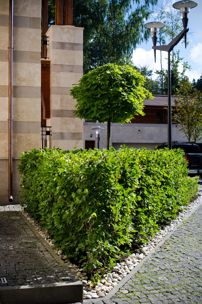 Глянцевый лес