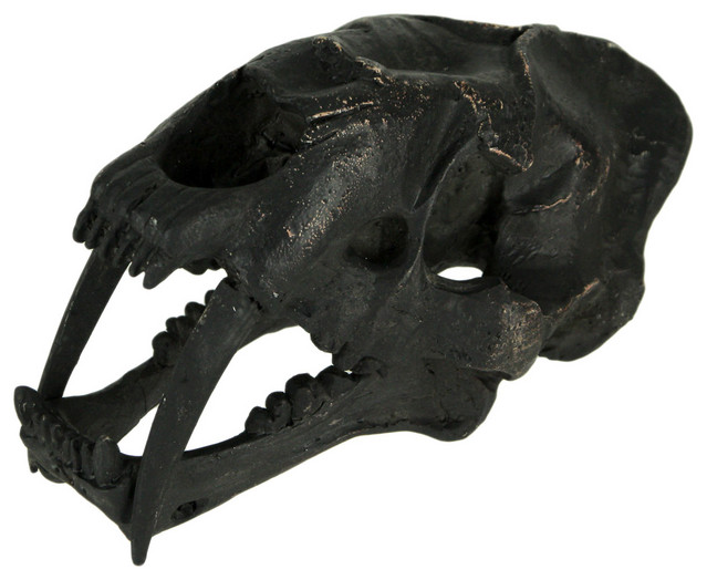 Black Saber Toothed Cat Skull Statue Small