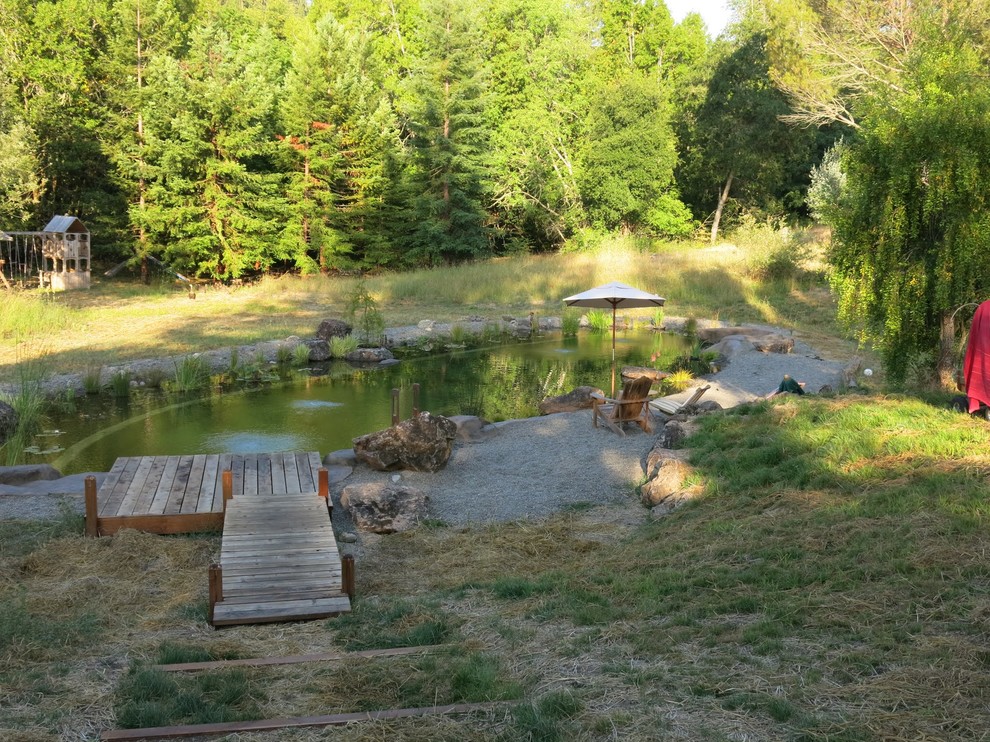 Photo of a mid-sized country backyard custom-shaped natural pool in San Francisco.