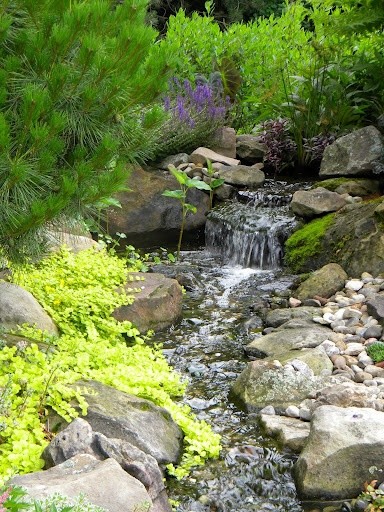 Pondless Waterfall and Stream