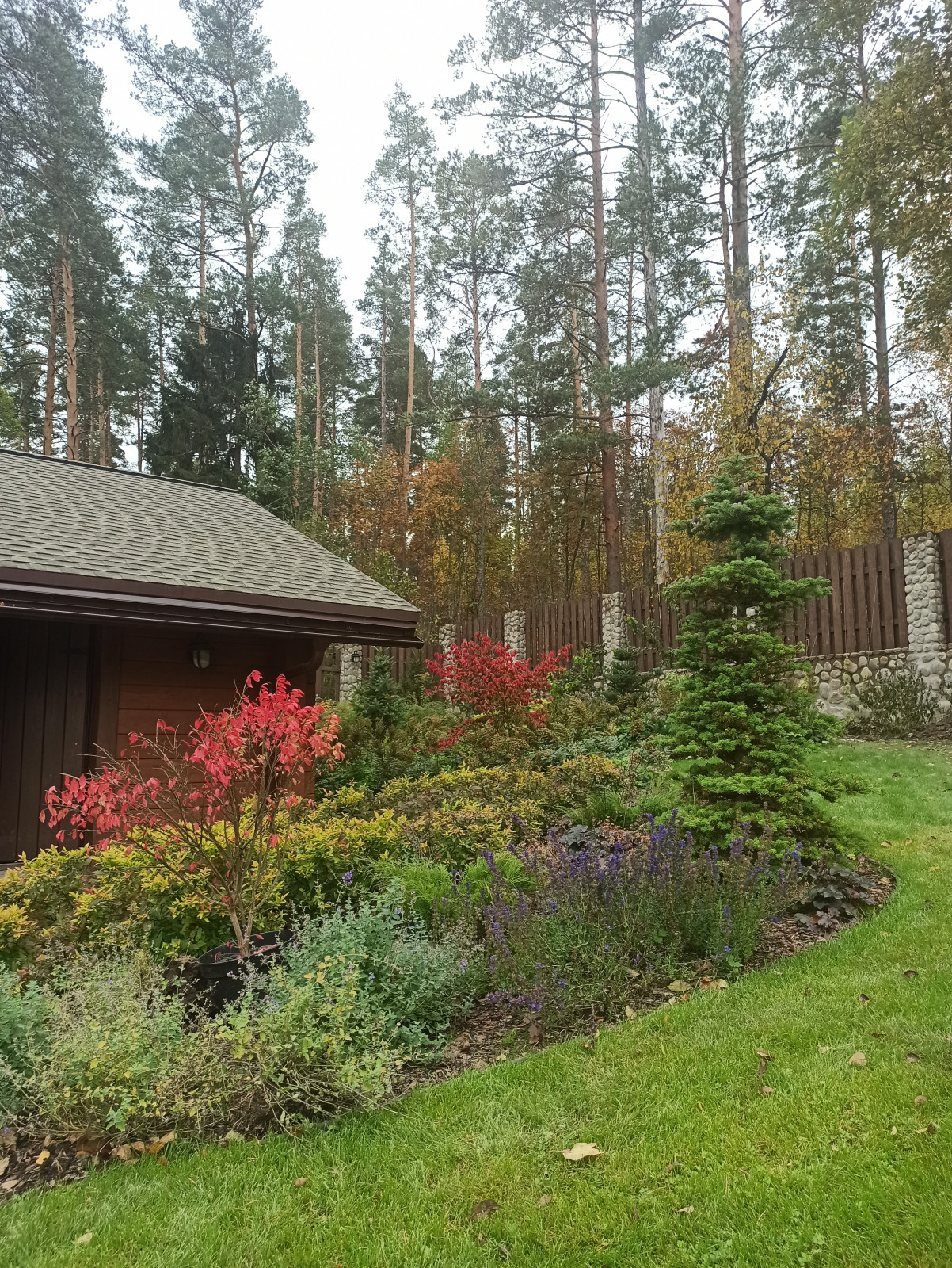 Воплощение проекта.Мельниково