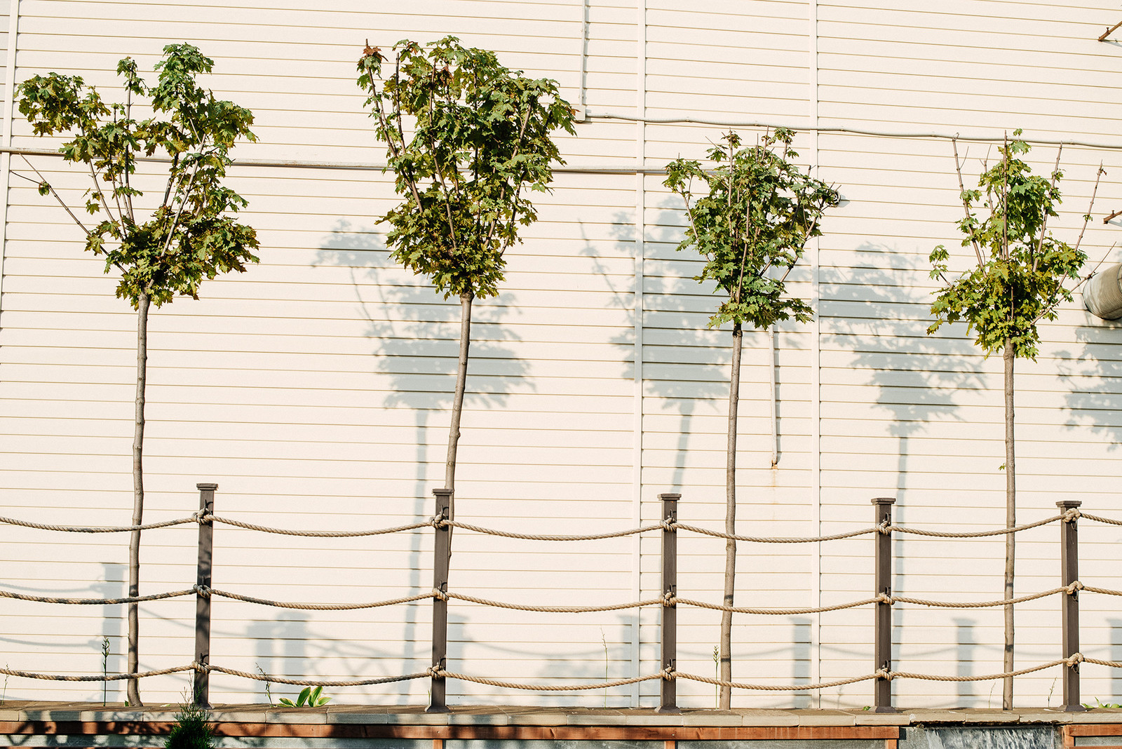 Лодочная станция