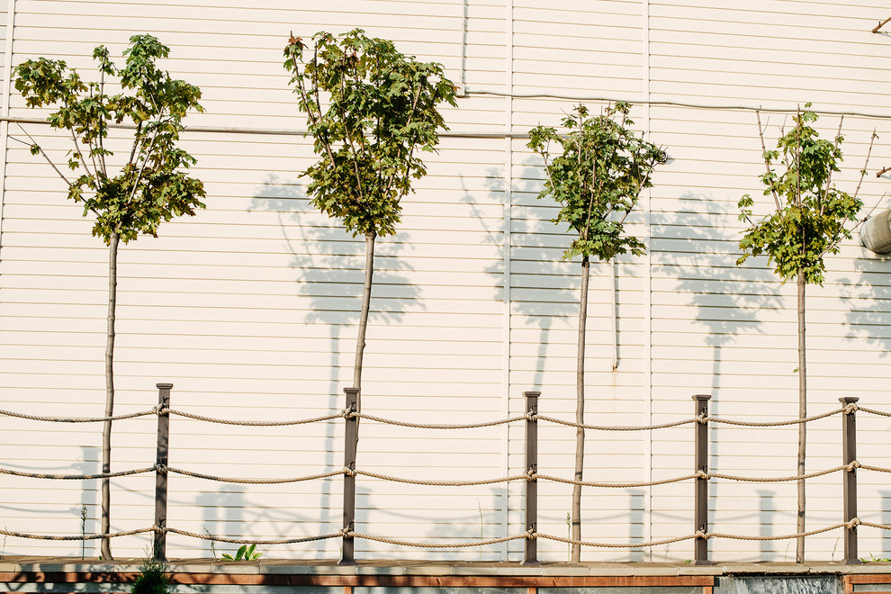 Лодочная станция