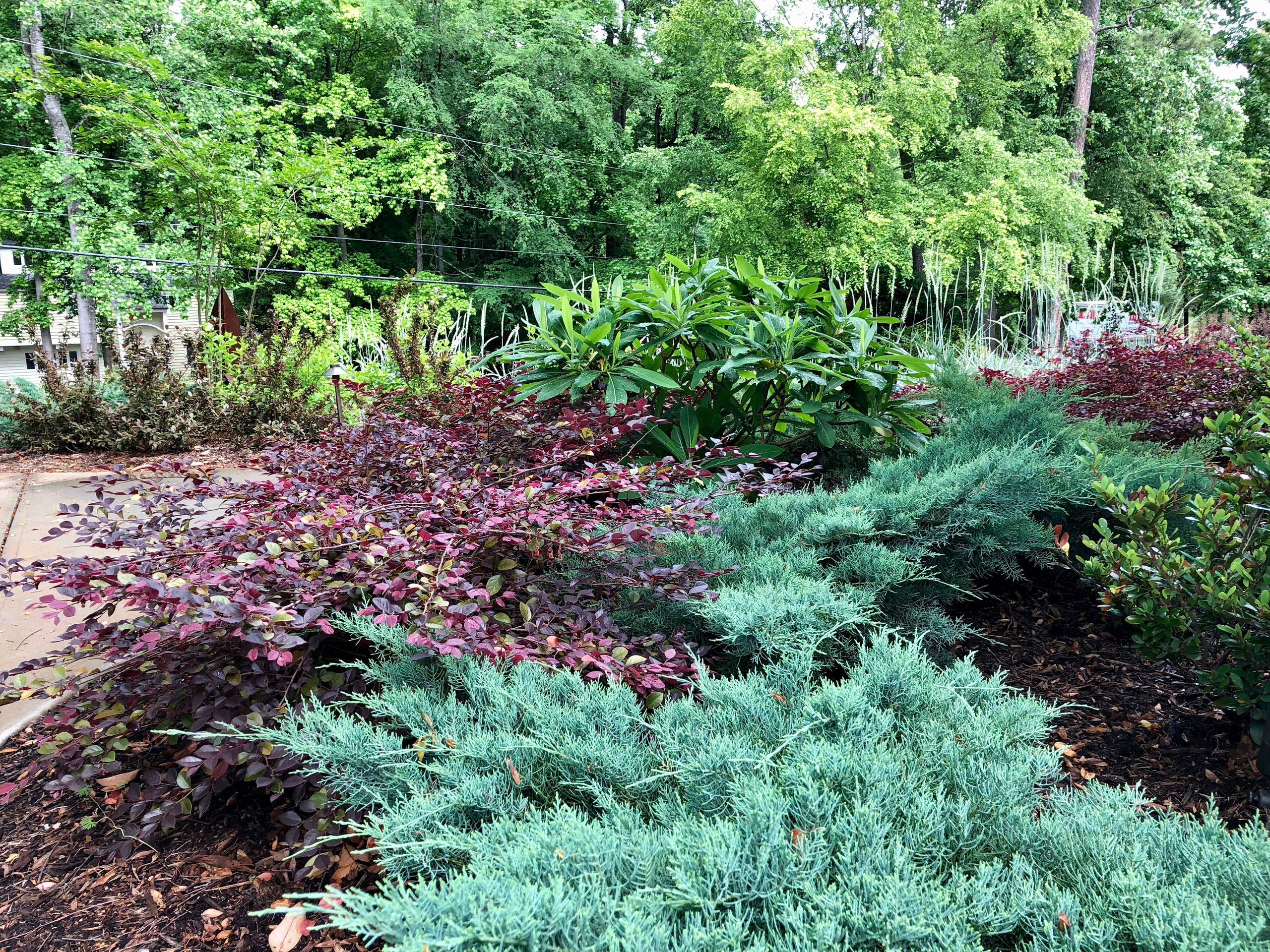 Pool-side Color Garden.