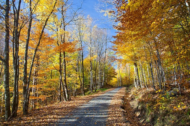 Fall In Canada Mountains Wallpaper Wall Mural Self Adhesive