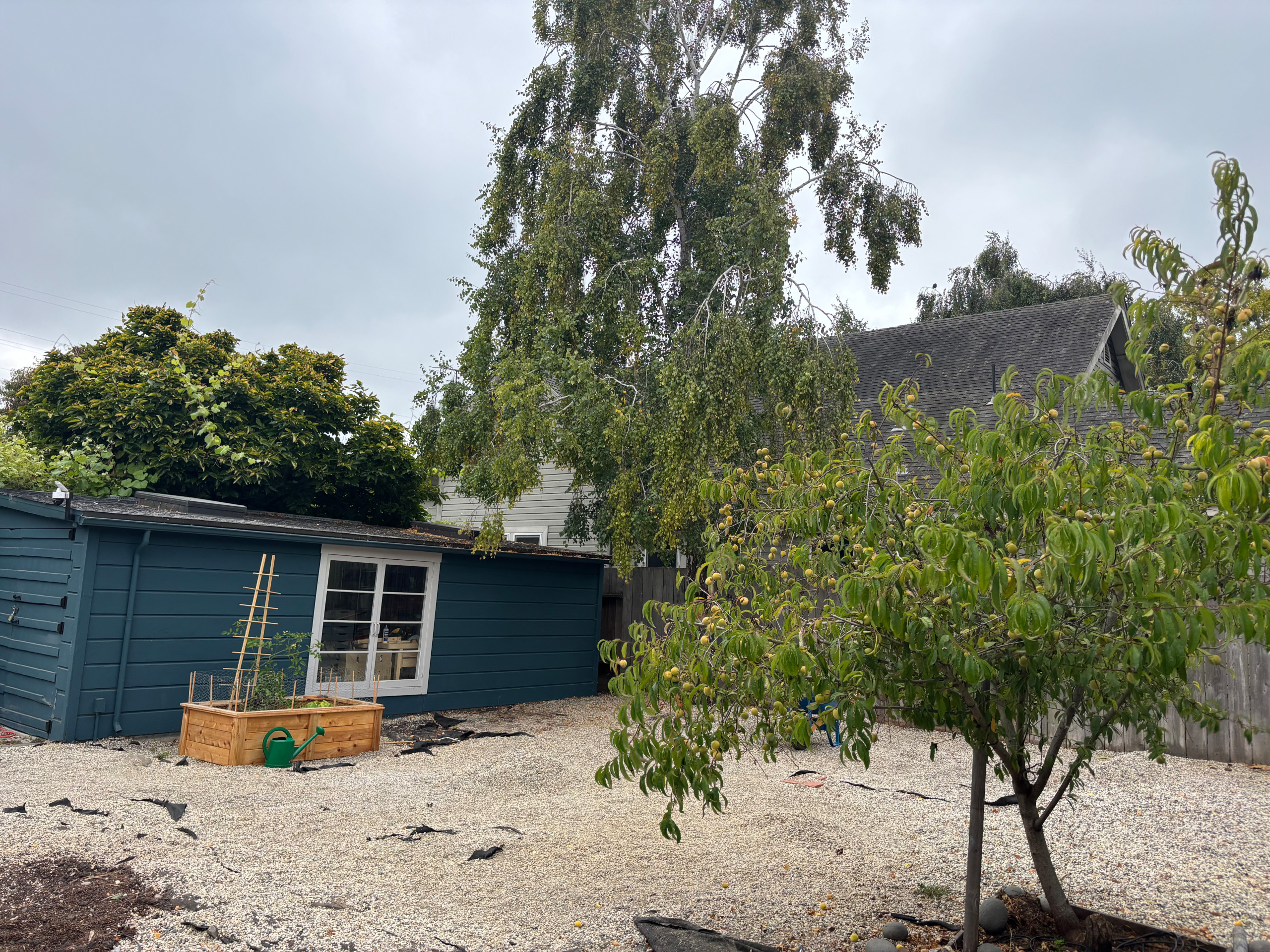 Addison Studio Garden