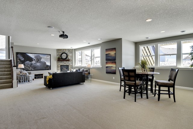 Aspen Plus traditional-basement