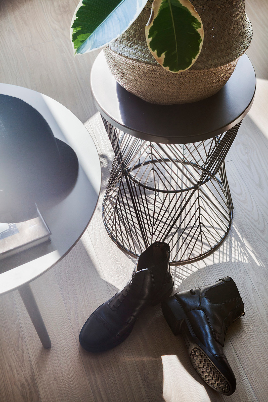 Ботаническая квартира для молодой пары