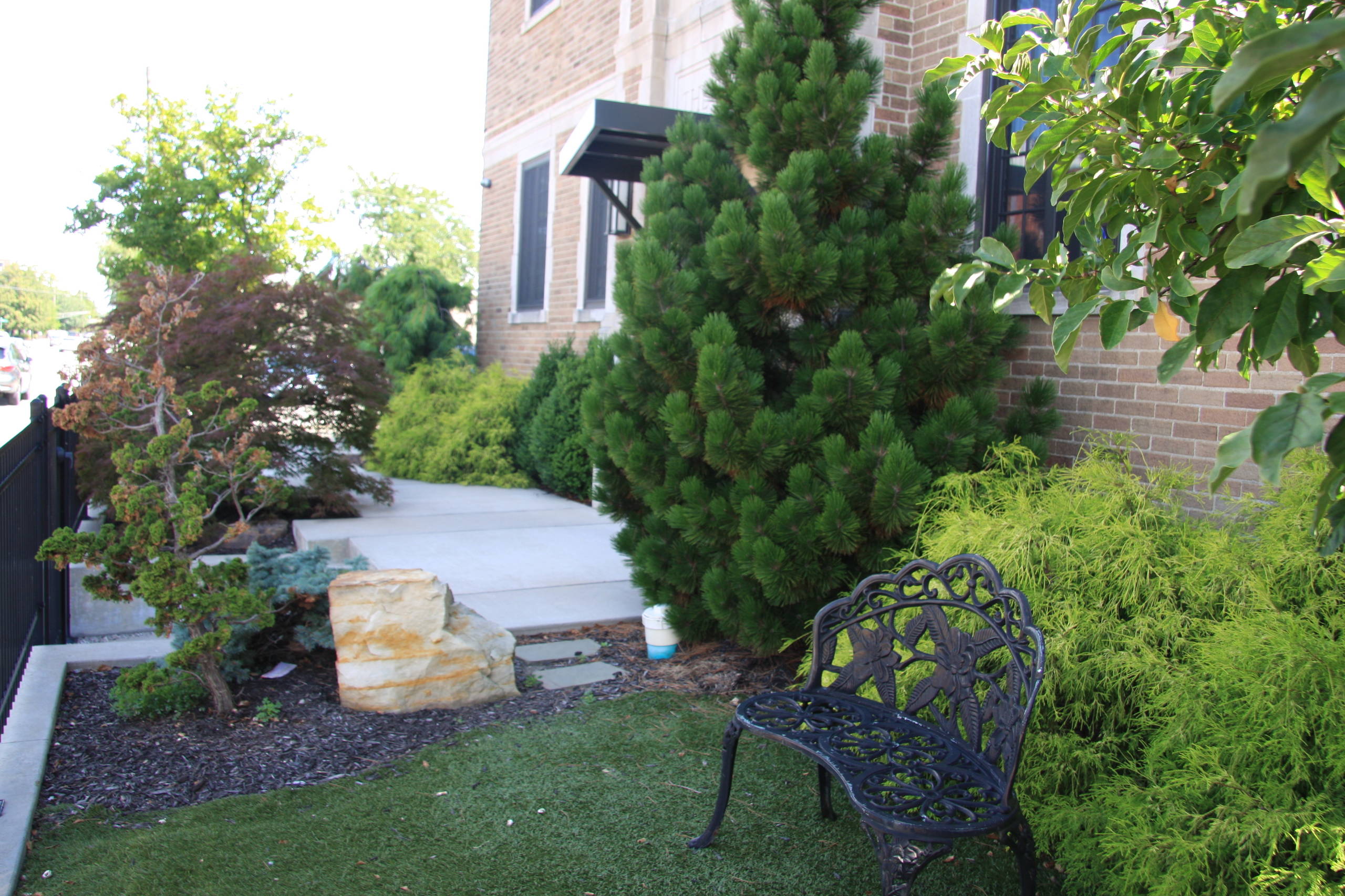 Wittern Roof top Garden