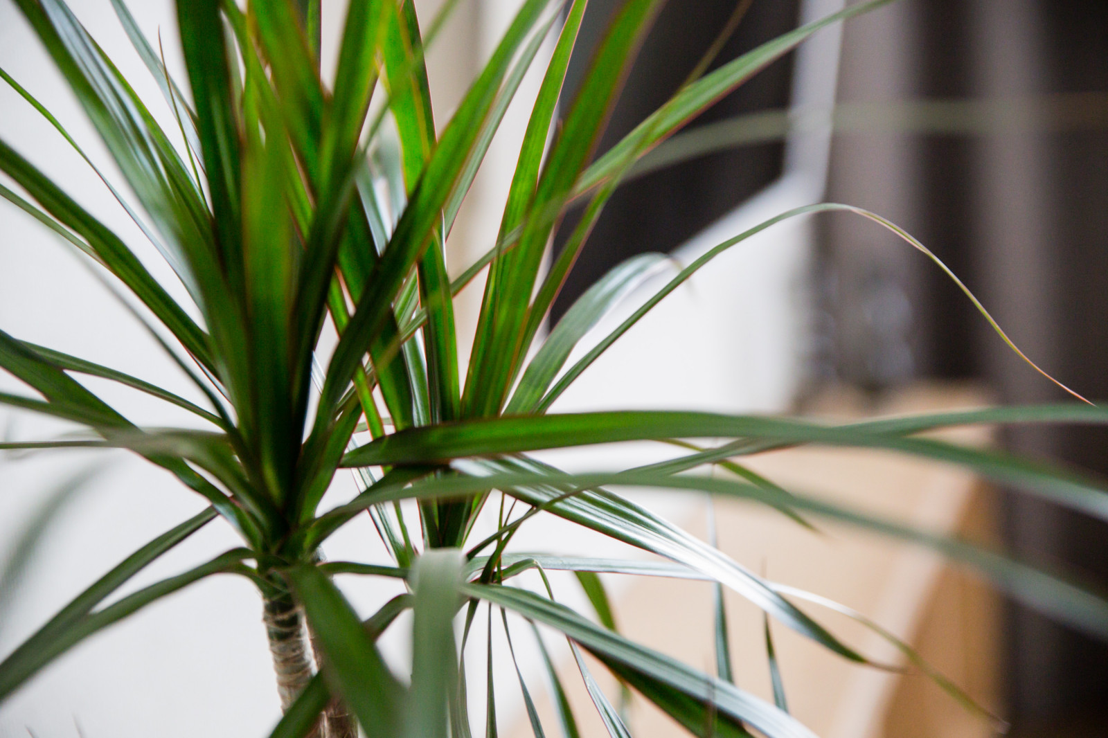 Квартира в ЖК ФИЛИГРАД