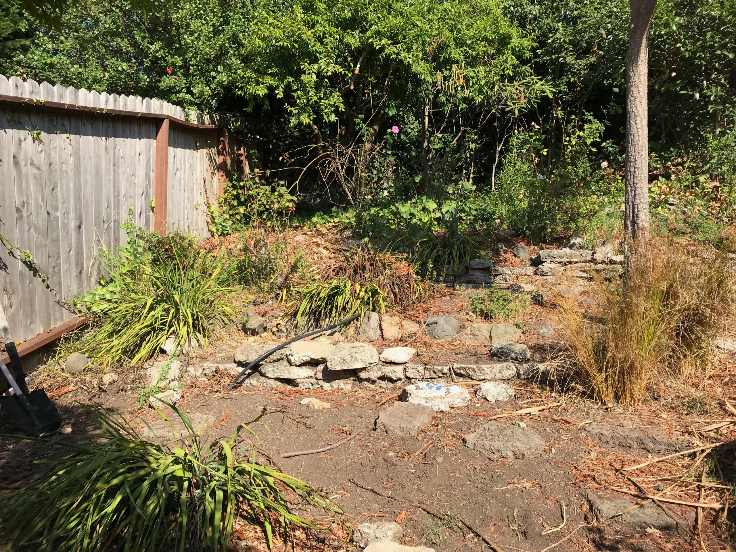 Before: Failing Retaining Walls and Overgrown Vegetation