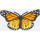 paige_bandow