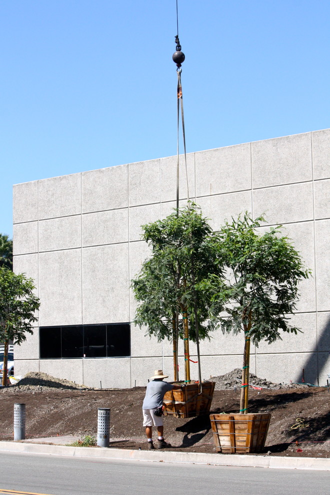 Commercial Buidling