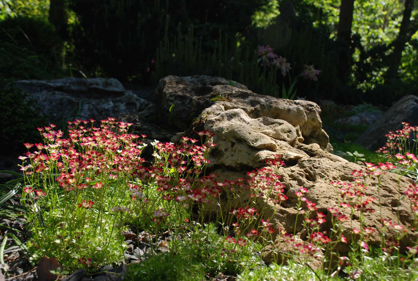 Успенское шоссе РИИТА