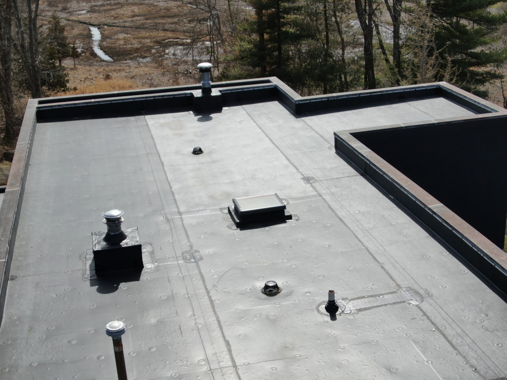 Cette photo montre une grande façade de maison marron tendance en bardage à clin à un étage avec un revêtement en vinyle, un toit plat, un toit mixte et un toit noir.