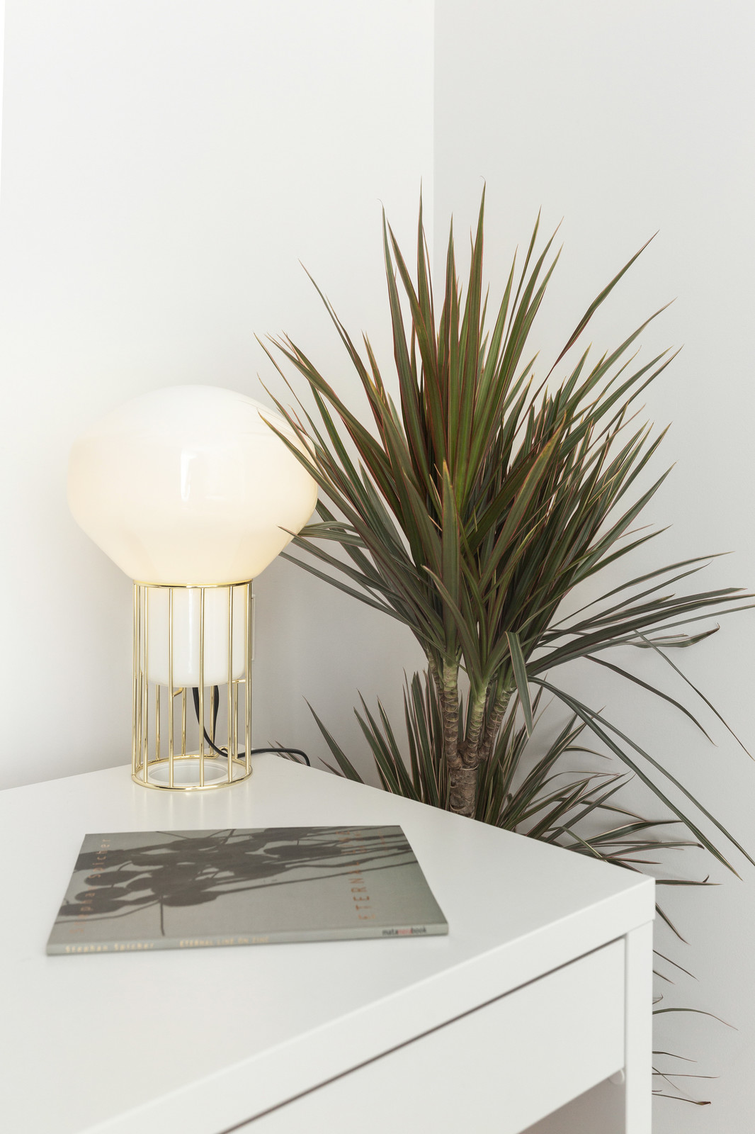 Студия в историческом центре Петербурга