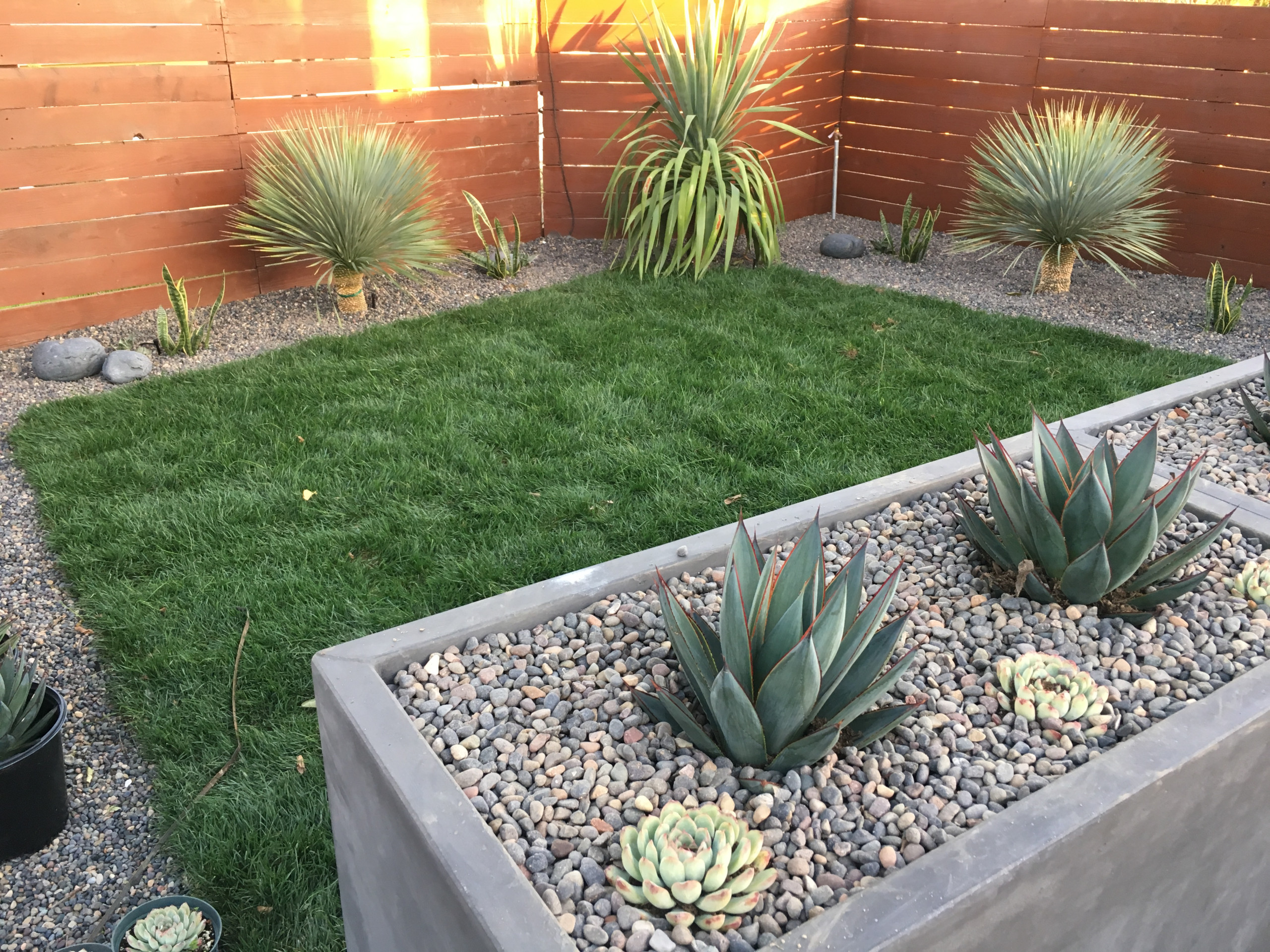Low Maintenance Backyard Remodel