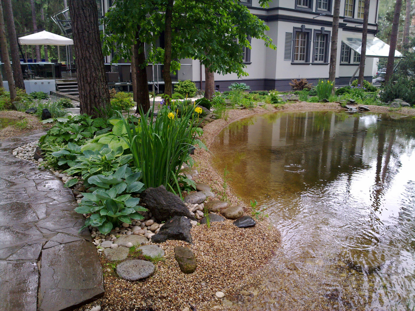 Участок с водоемом в КП "Сосновый бор"